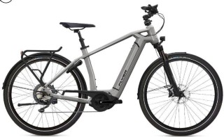E-Bike kaufen: FLYER Gotour6 7.10 Nouveau