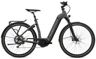 E-Bike kaufen: FLYER Gotour6 3.4 Neu