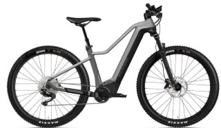 E-Bike kaufen: FLYER Uproc2 2.10 Nouveau