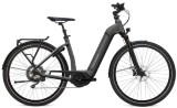 e-Bikes Citybike FLYER Gotour6 3.4