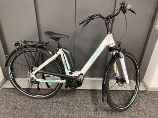E-Bike kaufen: GEPIDA Reptila Disc 1000 Nouveau