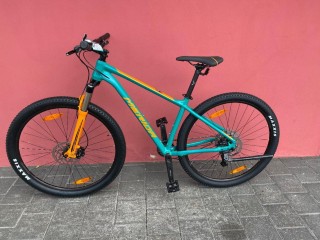  Vélo tout terrain kaufen: MERIDA Big Nine 200 Nouveau