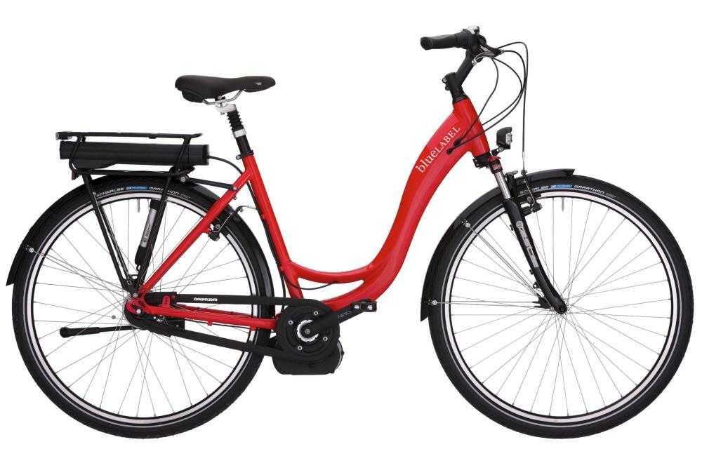 E-Bike kaufen: RIESE & MÜLLER blueLabel Komfort Vorjahresmodell