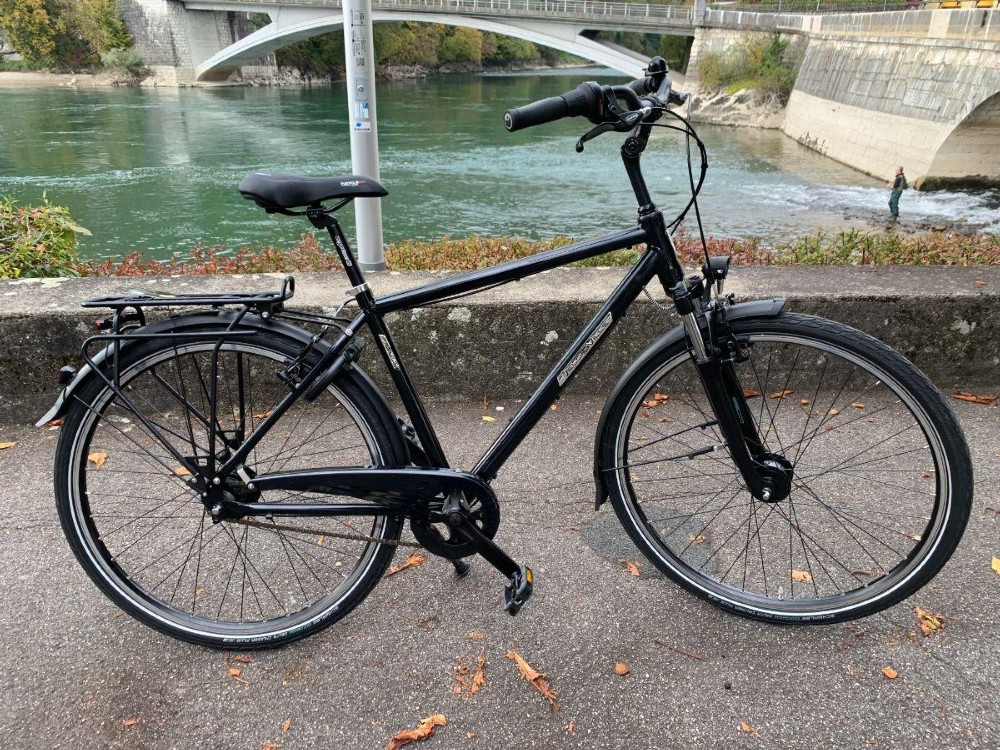 Citybike kaufen: VELO DE VILLE  N200 CH Neu