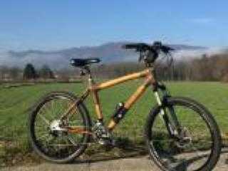  Citybike kaufen: BAMBOOCYCLE Brown Cycle Testvelo