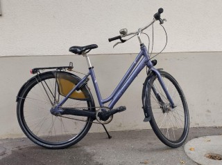  Vélo urbain kaufen: TREK Rome Occasion
