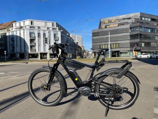 E-Bike kaufen: RIESE & MÜLLER Delite GT Touring Modèle précédent