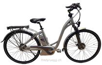 e-Bikes Citybike FLYER BKTECH T8 PREMIUM 09 S