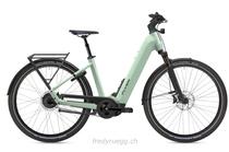 E-Bike kaufen: FLYER UPSTREET 7.23 COMF S FROSTY Nouveau
