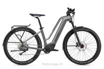 E-Bike kaufen: FLYER GOROC2 6.30 COMF HT M SILBER SCHWARZ Nouveau