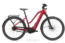 E-Bike kaufen: FLYER UPSTREET 7.23 MIXED M ROT Nouveau