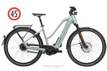 E-Bike kaufen: FLYER UPSTREET 7.23 MIXED HS M FROSTY Nouveau