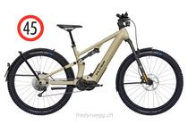 E-Bike kaufen: FLYER GOROC X 6.70 FS HS S SAND Nouveau