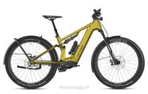 E-Bike kaufen: FLYER GOROC TR:X 4.63 FS M CURCUMA Nouveau