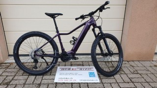 E-Bike kaufen: BIXS Mariposa E12 Nouveau