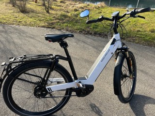 E-Bike kaufen: RIESE & MÜLLER Nevo GT vario HS Occasion