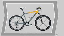  Vélo tout terrain kaufen: CANYON CA 0308 CROSS Nouveau