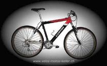  Vélo tout terrain kaufen: CANYON CA 8006 PRO TEAM Nouveau