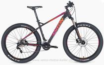Bikes Mountainbike CANYON CA 1715.37 RAINBOW 37