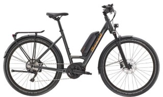 E-Bike kaufen: DIAMANT Zing Deluxe+ Nouveau