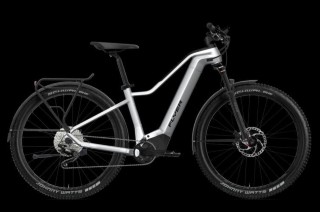 Bikes Mountainbike FLYER Goroc2 6.30