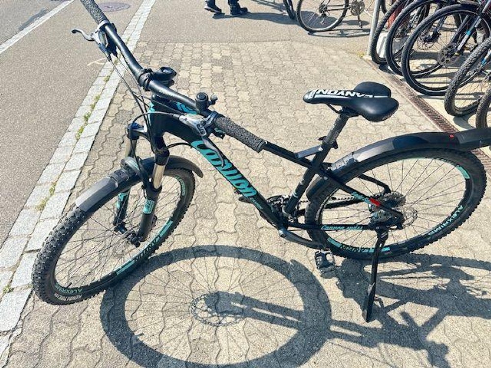 Mountainbike kaufen: CANYON Principessa Occasion