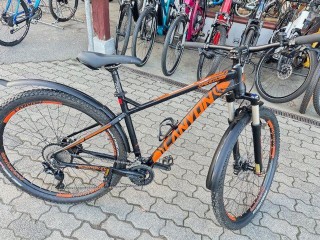  Mountainbike kaufen: CANYON Speed 39 Occasion