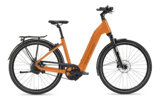 E-Bike kaufen: TOUR DE SUISSE Charisma 25 LG3 Neu