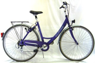  Vélo urbain kaufen: ALPINA Sidney Nouveau