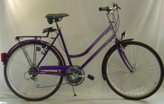  Vélo urbain kaufen: ALPINA Country Nouveau