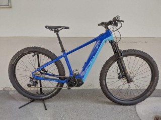 e-Bikes Mountainbike BERGSTROM ATV 720