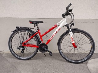  Mountainbike kaufen: HERCULES S.26 Occasion