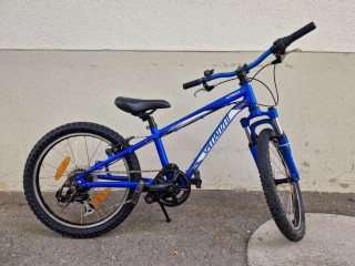  Vélo pour enfants kaufen: SPECIALIZED Hotrock 20 Occasion