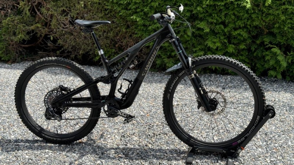 Vélo tout terrain kaufen: SPECIALIZED Stumpjumper Evo S-Works S2 Occasion