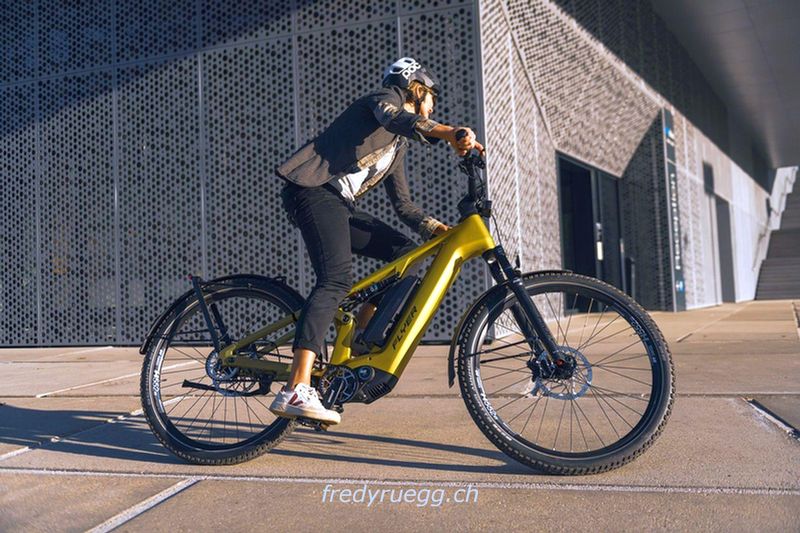 E-Bike kaufen: FLYER GOROC TR:X 8.63 FS L CURCUMA Neu