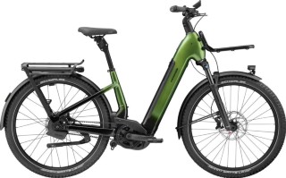 E-Bike kaufen: CANNONDALE Tesoro Auto Tiefeinstieg S sea green Nouveau