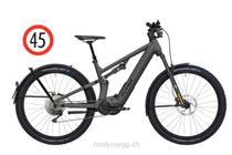 e-Bikes Mountainbike FLYER GOROC X 6.70 FS HS M BLACK