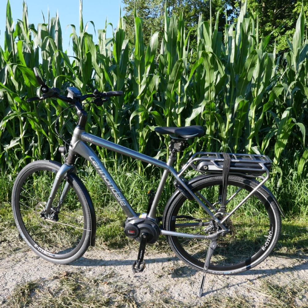 EBike kaufen CANNONDALE Mavaro Performance Occasion für