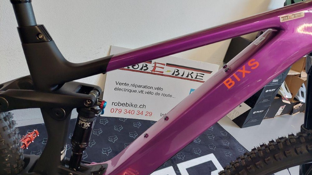 E-Bike kaufen: BIXS Sign-E23 Neu