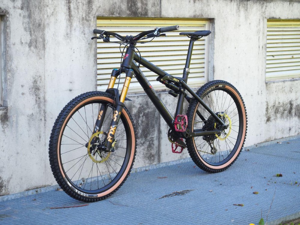 Mountainbike kaufen: LITEVILLE 301 MK14 Occasion