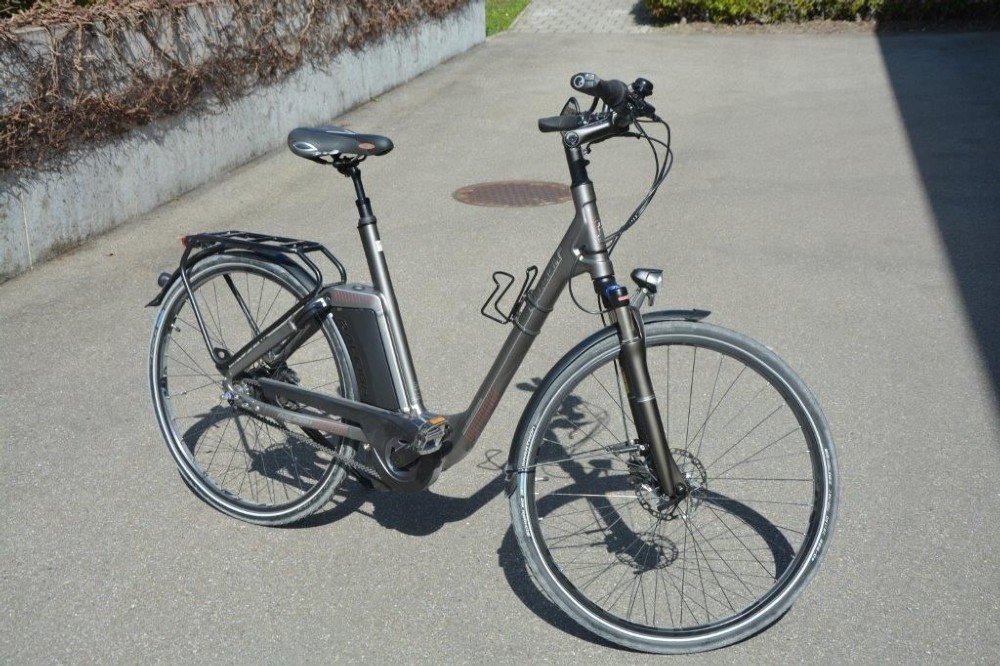 E-Bike kaufen: RALEIGH Newgte Premium Occasion