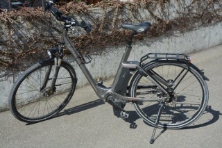 E-Bike kaufen: RALEIGH Newgte Premium Occasion