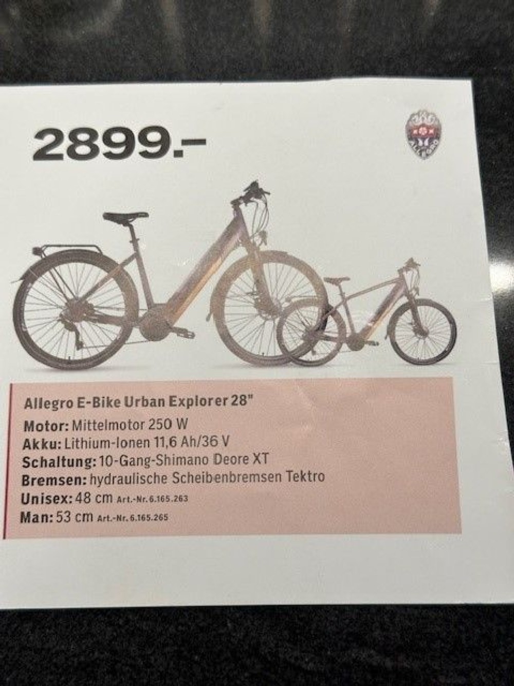 E-Bike kaufen: ALLEGRO Herren Occasion