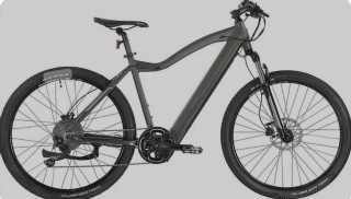 E-Bike kaufen: ALLEGRO Invisible E-MTB AXIM°03 Dark Green Occasion