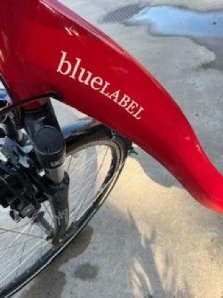 E-Bike kaufen: RIESE & MÜLLER BlueLabel Swing Harmony Occasion