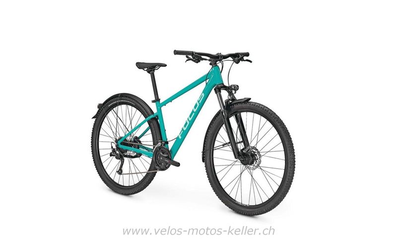 Vélo tout terrain kaufen: FOCUS WHISTLER 3.6 EQP DI Nouveau