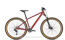  Mountainbike kaufen: FOCUS WHISTLER 3.7 Neu