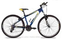  Mountainbike kaufen: CANYON CA 4111 FLASH Neu