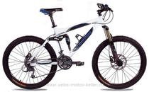  Mountainbike kaufen: CANYON CA 4220 FREERIDE 2 Neu