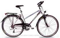  Citybike kaufen: CANYON CA 426.2 TREKKING SPORT Neu